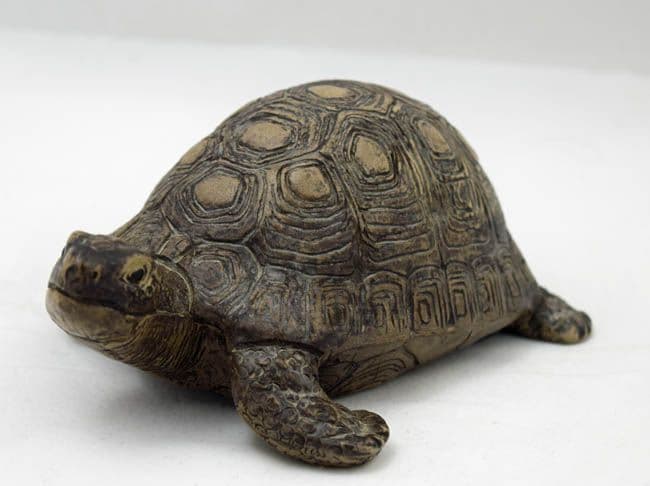 Poole Pottery Stoneware Tortoise - Replacing discontinued china and ...